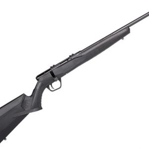 Carabina de cerrojo SAVAGE B22 F - 22 WMR