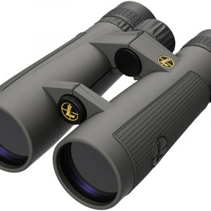 Prismático LEUPOLD BX-5 Santiam HD - 10x50