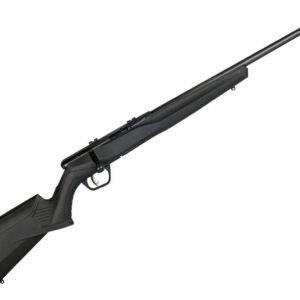 Rifle de cerrojo SAVAGE B17 F-SR - 17 HMR