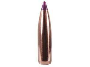 Puntas Cal. 243/6mm-090-Spitzer Nosler Ballistic T