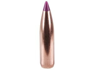 Puntas Cal. 243/6mm-095-Spitzer Nosler Ballistic T