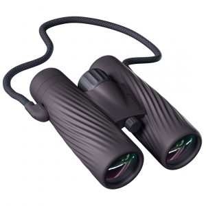 Prismático BUSHNELL A5 Onyx Black - 10x42